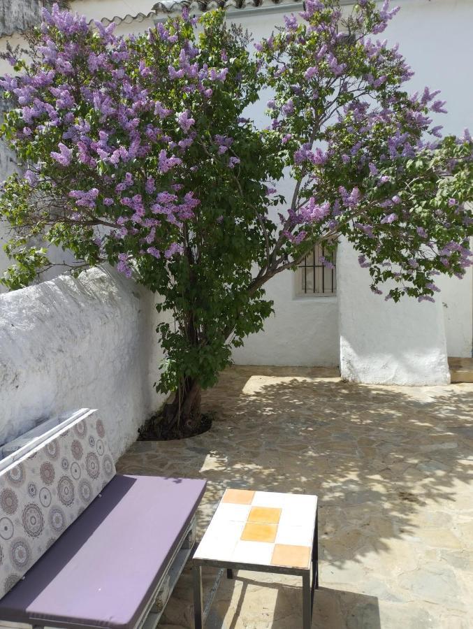 Willa Casa Bejar, Tranquila Casa Con Chimenea, Patios, Junto A La Piscina Canete la Real Zewnętrze zdjęcie